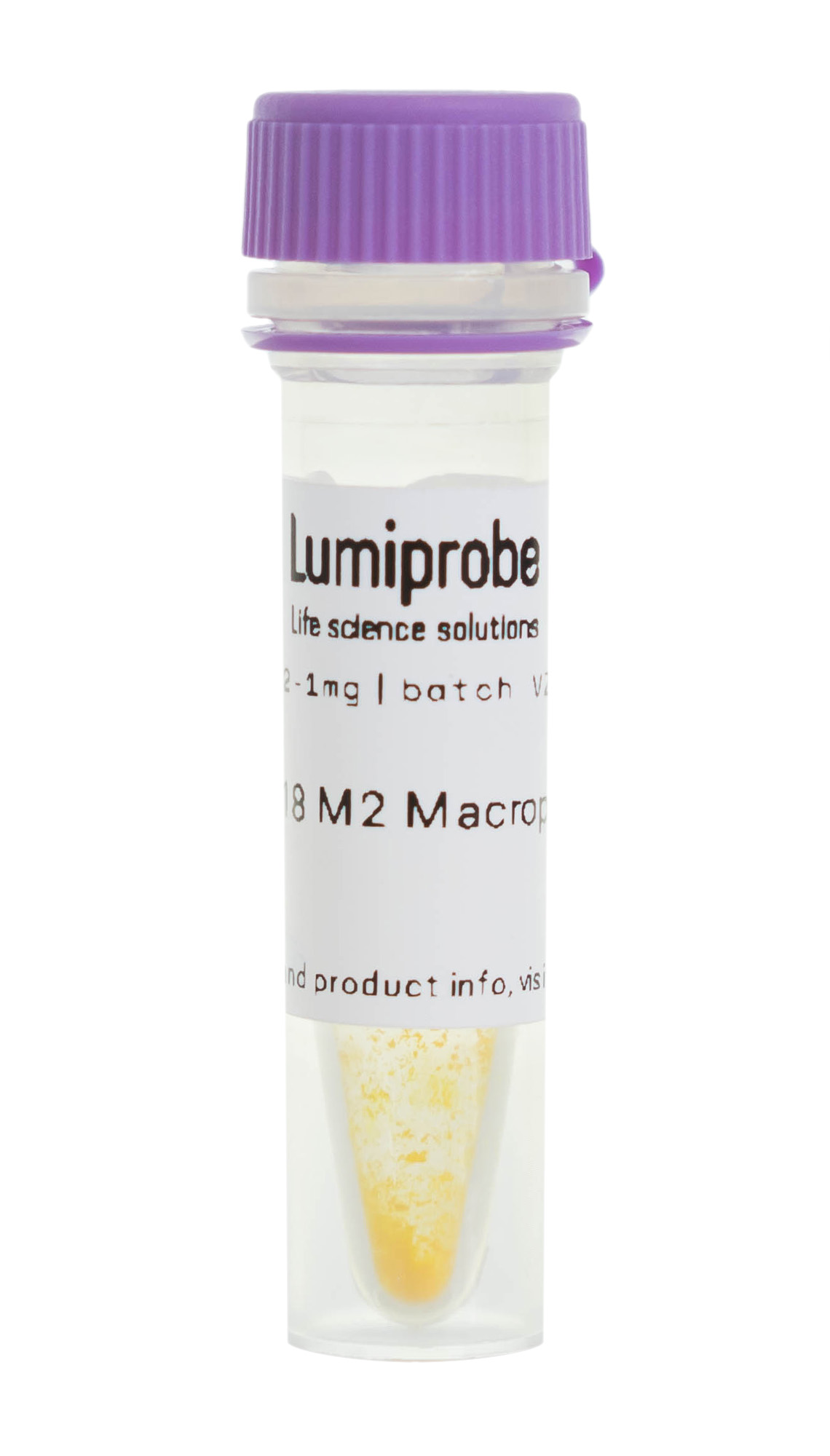 CDg18 M2 Macrophage Stain, краситель для макрофагов М2, 6052-1mg